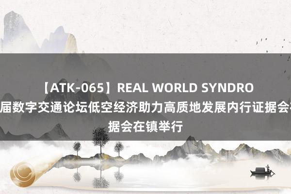 【ATK-065】REAL WORLD SYNDROME 第八届数字交通论坛低空经济助力高质地发展内行证据会在镇举行