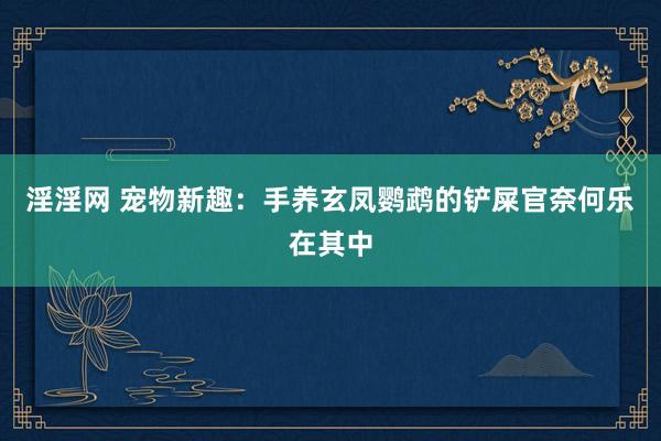 淫淫网 宠物新趣：手养玄凤鹦鹉的铲屎官奈何乐在其中