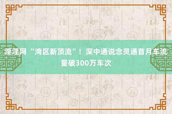 淫淫网 “湾区新顶流”！深中通说念灵通首月车流量破300万车次