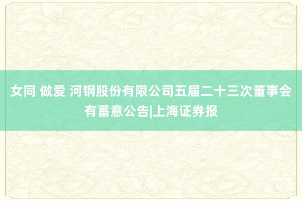 女同 做爱 河钢股份有限公司五届二十三次董事会有蓄意公告|上海证券报