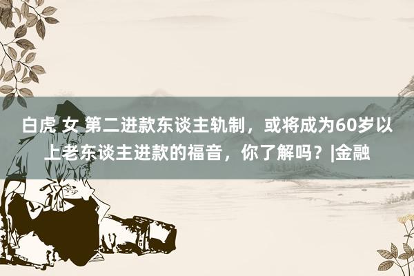 白虎 女 第二进款东谈主轨制，或将成为60岁以上老东谈主进款的福音，你了解吗？|金融