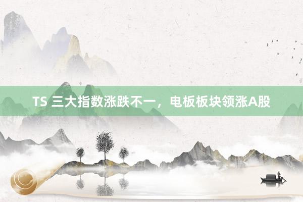 TS 三大指数涨跌不一，电板板块领涨A股
