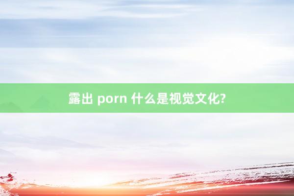 露出 porn 什么是视觉文化?