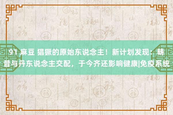 91 麻豆 猖獗的原始东说念主！新计划发现：畴昔与丹东说念主交配，于今齐还影响健康|免疫系统