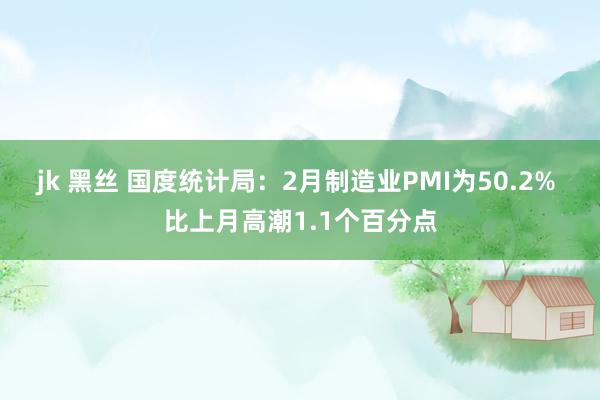 jk 黑丝 国度统计局：2月制造业PMI为50.2% 比上月高潮1.1个百分点