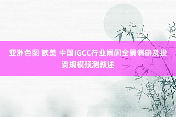 亚洲色图 欧美 中国IGCC行业阛阓全景调研及投资规模预测叙述