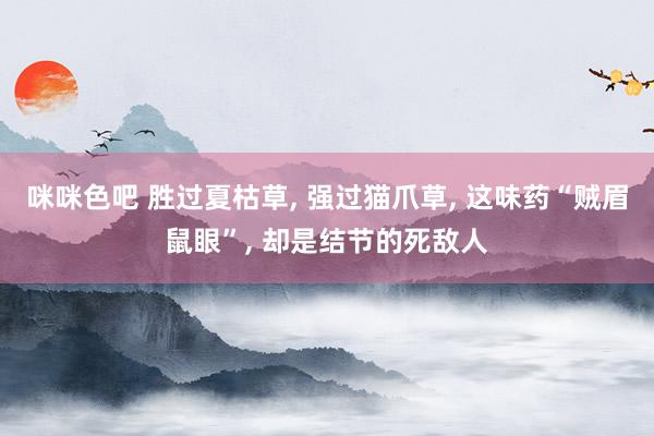 咪咪色吧 胜过夏枯草， 强过猫爪草， 这味药“贼眉鼠眼”， 却是结节的死敌人