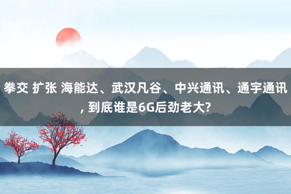 拳交 扩张 海能达、武汉凡谷、中兴通讯、通宇通讯， 到底谁是6G后劲老大?